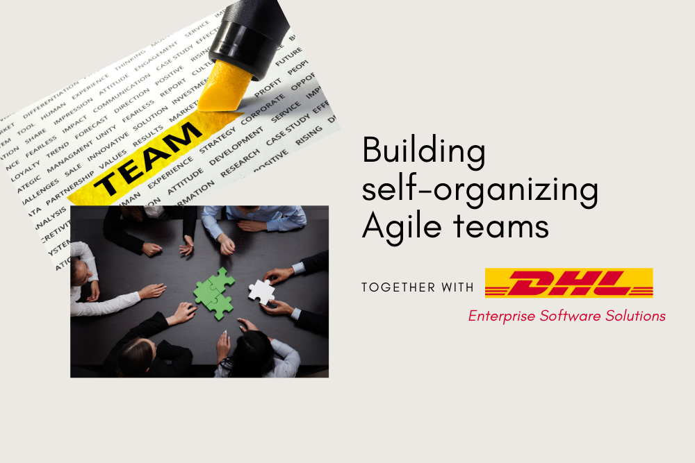 Self-organizing teams in an enterprise environment - is it possible?