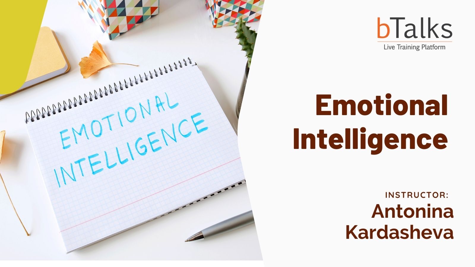 Emotional Intelligence